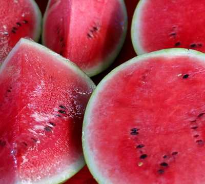 Bush Sugar Baby Watermelon fruit seeds for planting – Heirloom & Non-GMO Garden seeds
