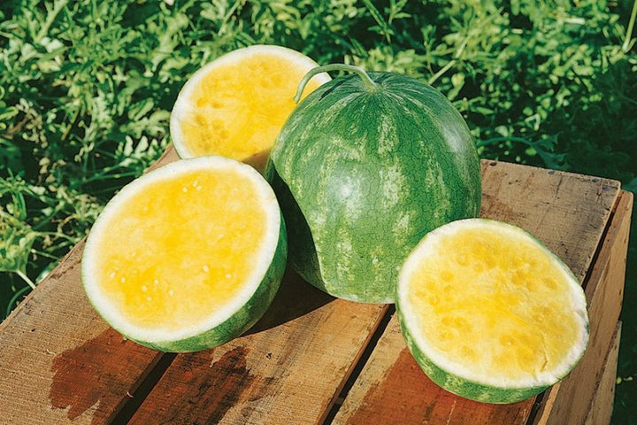 Gold in Gold Watermelon seeds for planting - Heirloom & Non-GMO juicy fruit garden seeds
