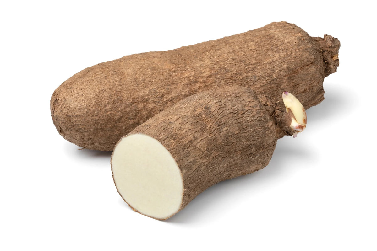 Yam Seeds – Heirloom Non-GMO Nutritious Root Vegetable Seeds for Planting, Organic Garden Seeds, High Germination