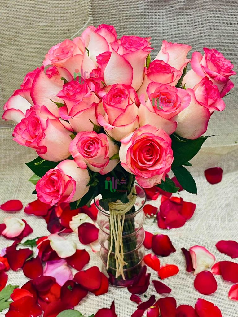 White Pink Rose Flower Seeds for Planting – Heirloom, Non-GMO, High Germination Organic Garden Seeds, Easy to Grow