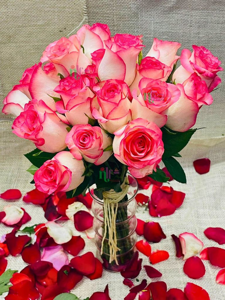 White Pink Rose Flower Seeds for Planting – Heirloom, Non-GMO, High Germination Organic Garden Seeds, Easy to Grow