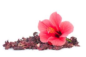 Australian Rosella Hibiscus Flower Seeds for Planting | Heirloom Non-GMO Organic Garden Seeds | Colorful Display, 100pcs