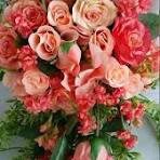 Nuevos Flower Seeds for Planting – Garden Favorite, Heirloom & Non-GMO Home Garden Seeds, 100pcs