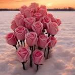 Nuevos Flower Seeds for Planting – Garden Favorite, Heirloom & Non-GMO Home Garden Seeds, 100pcs