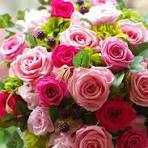 Nuevos Flower Seeds for Planting – Garden Favorite, Heirloom & Non-GMO Home Garden Seeds, 100pcs